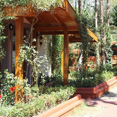 Boncuklu Otel Oludeniz Exteriér fotografie